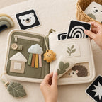 Visual Flash Card + Cloth Book Hybrid interactive play demonstration